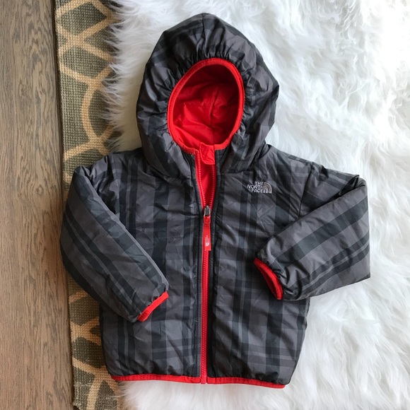 north face perrito 3t